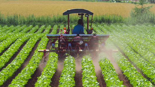 Agriculture in Ethiopia Market Size