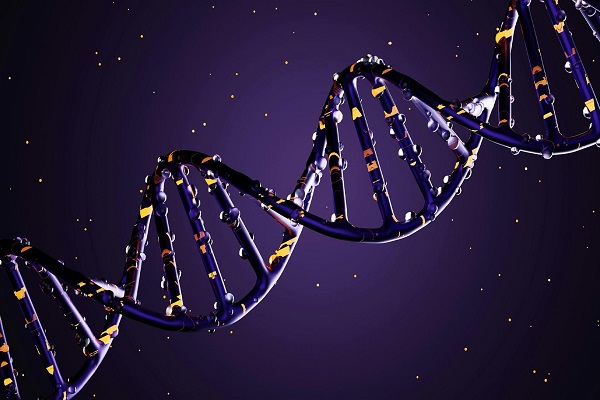 Global Epigenetics Market Size, Share, Trends, Growth, and Industry Analysis, By Product (Enzymes, Instruments and Consumables, Kits, and Reagents), Application (Oncology, Metabolic Diseases, Immunology, Cardiovascular Diseases, Developmental Biology, Others), Technology (DNA Methylation, Histone Methylation, Others), End User (Academic and Research Institutes, Pharmaceutical Companies and Biotechnology Companies, Contract Research Organizations (CROs)), Regional Analysis, Competitor Analysis and Forecast 2024-2032.