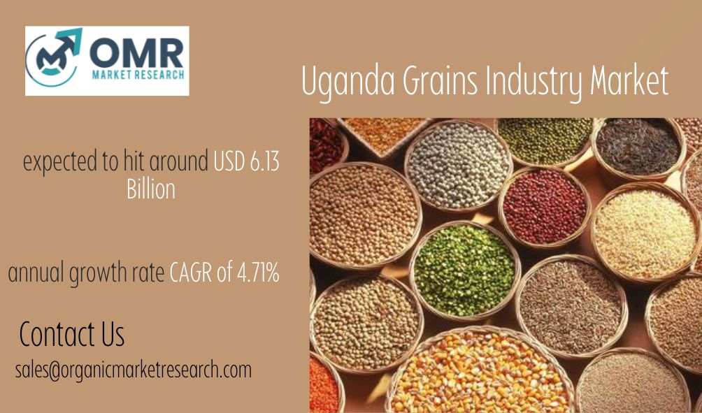 Uganda Grains Industry Market Size, Share, Trends, Growth, and Industry Analysis, Competitor Analysis and Forecast 2024-2032.