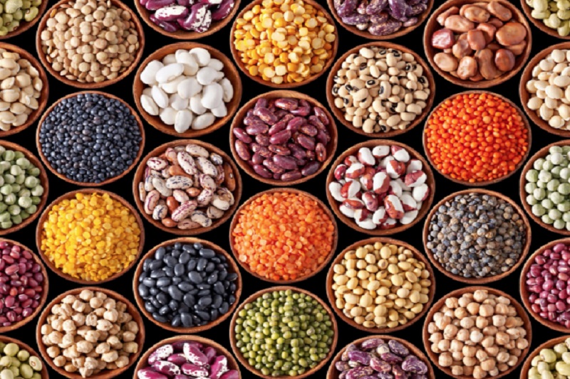 Middle East and Africa Vegetable Seed Market