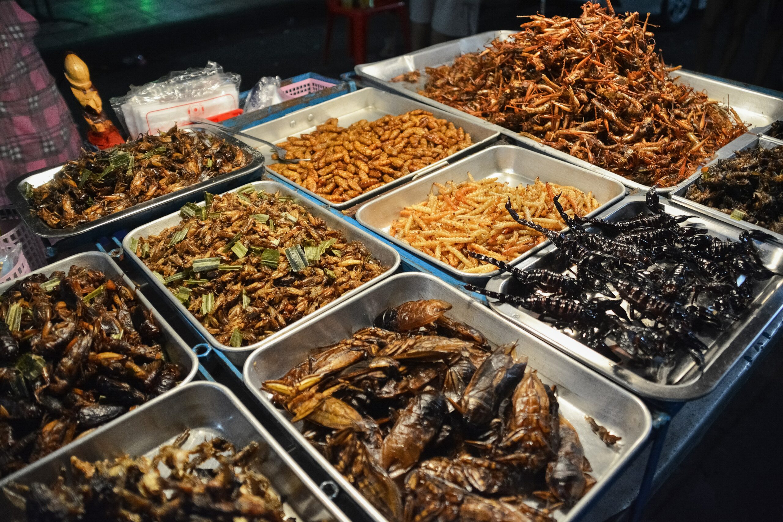 Edible Insects Market Size