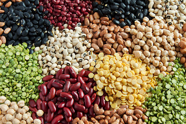 Middle East and Africa Vegetable Seed Market